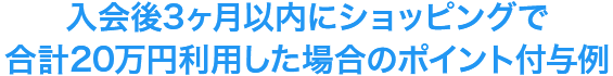 月間（入会3ヶ月以内）に各種ショッピングで合計10万円利用した場合のポイント付与例